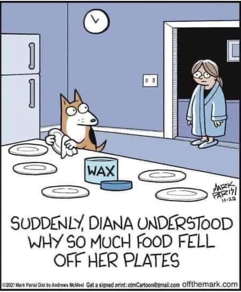 ablueview's tweet photo. #SundayFunnies

#SomethingCompletelyDifferent #MakesYouThink #SundayFunday #ABlueView https://t.co/dwihped86b