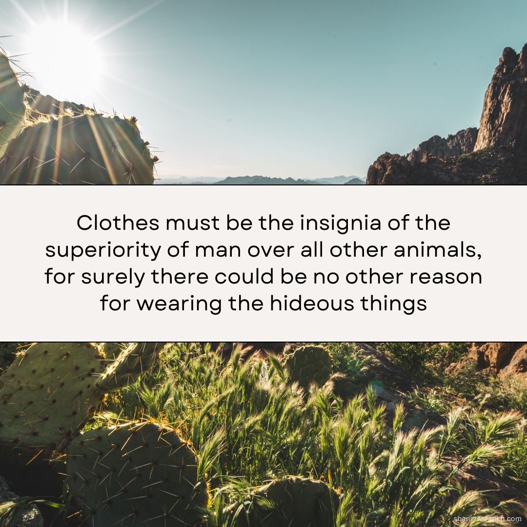SLRNude's tweet photo. 🦁 Clothes, perhaps, are the badges proving man's perceived superiority over other animals. Otherwise, why don the unnecessary and dull stuff? #ThinkNude #BeyondClothes 🧐 https://t.co/jDtUoMBwUV https://t.co/IynBPn8WzE