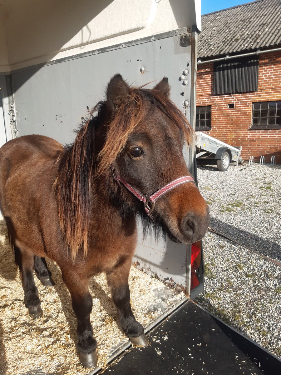 Tiny big and tall dude is home!