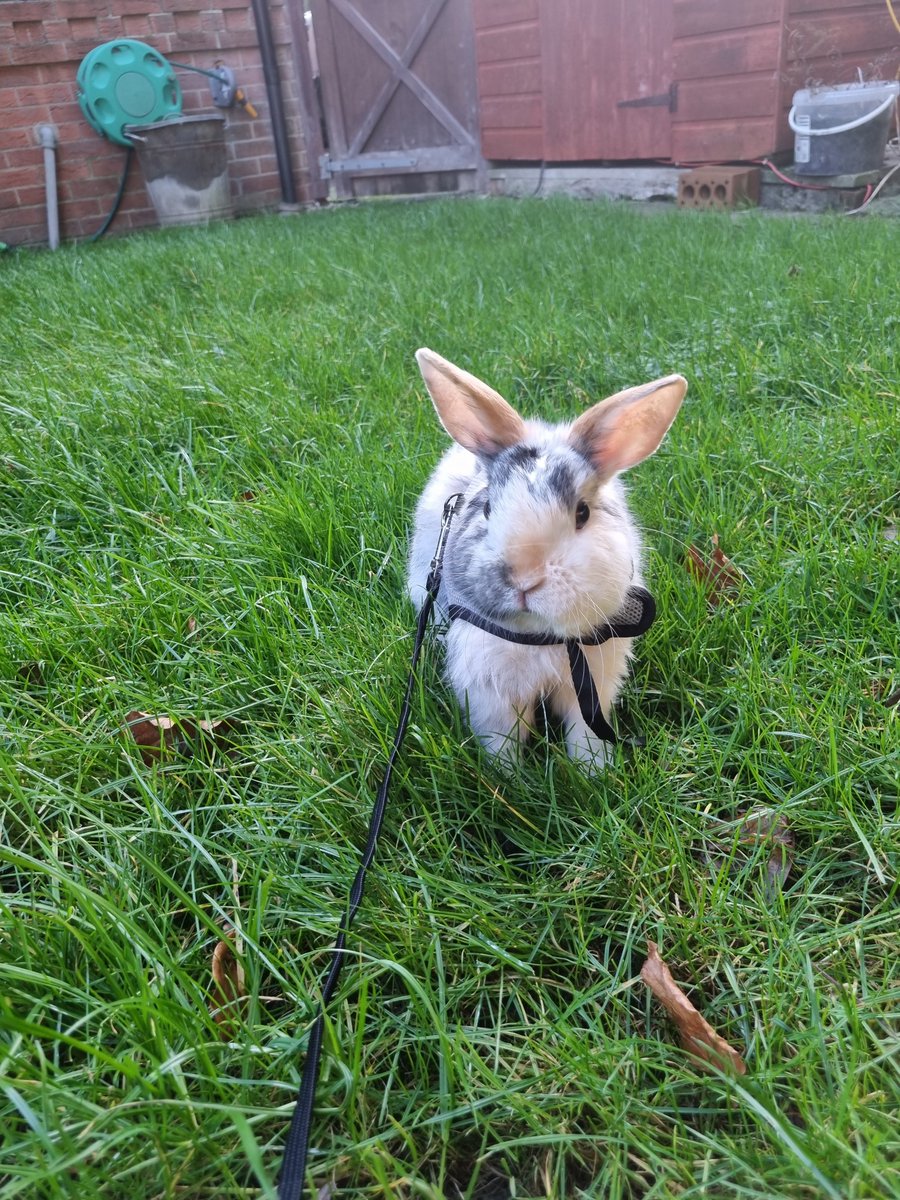 Cheyenne tweet media