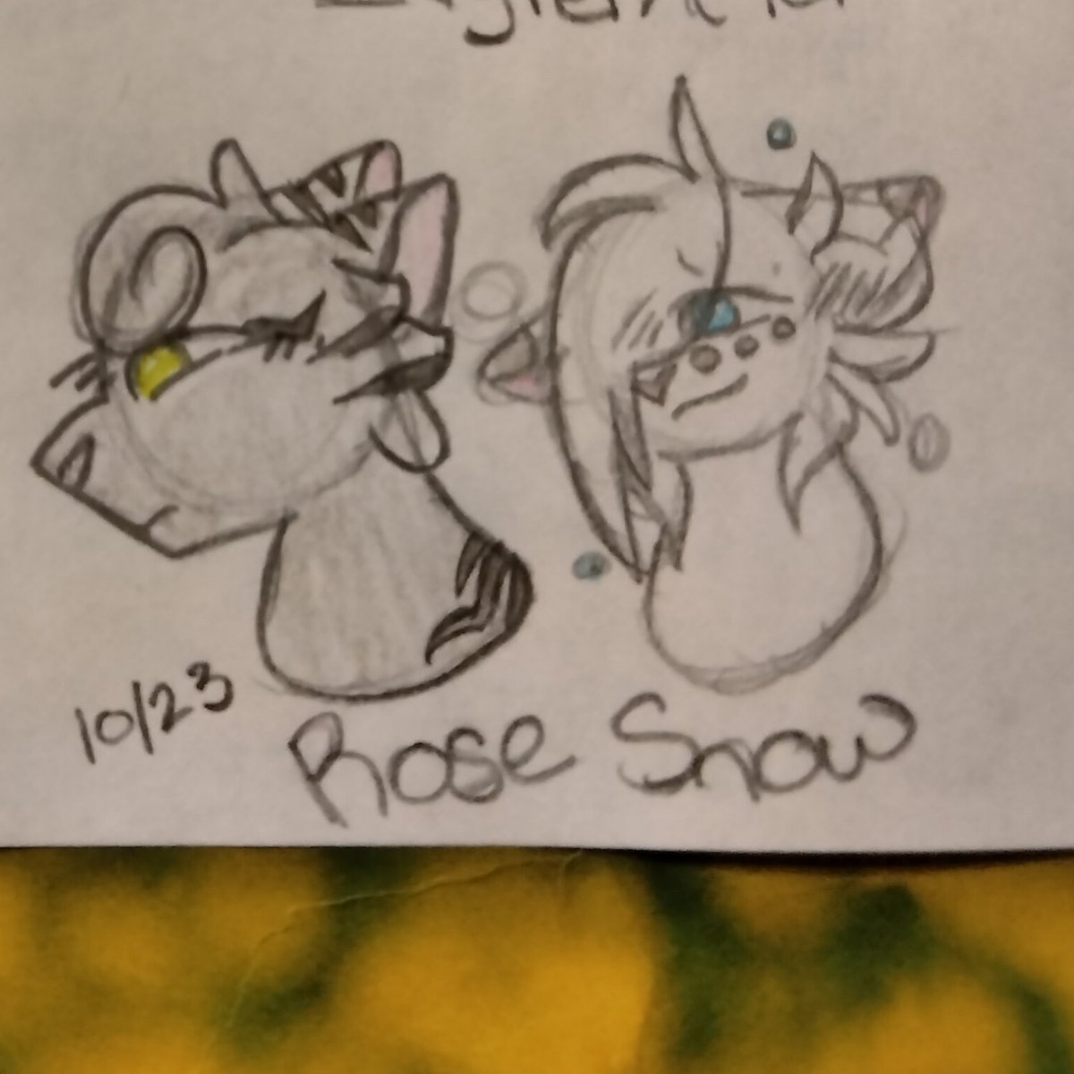 womelsdorf_art's tweet photo. Bright and Cloudy are so cute, Rose unknowingly pining after Snow, and the concept of Squilf only going to Hawk to prove her point and piss bramble off is interesting 🤔

#warriorcats #warriors #cats #cloudtail #brightheart #rosetail #snowfur #hawkfrost #squirrelflight https://t.co/yfNjPg4S1W