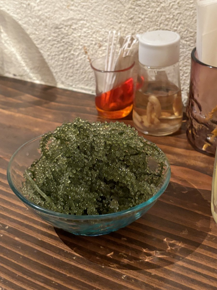 髪の毛暗くしました😉🪽
海ぶどうも食べました、塩分高めだけど本当に大好きすぎる。海ぶどうForever👏

#モデル #カメラマンさんと繋がりたい #被写体