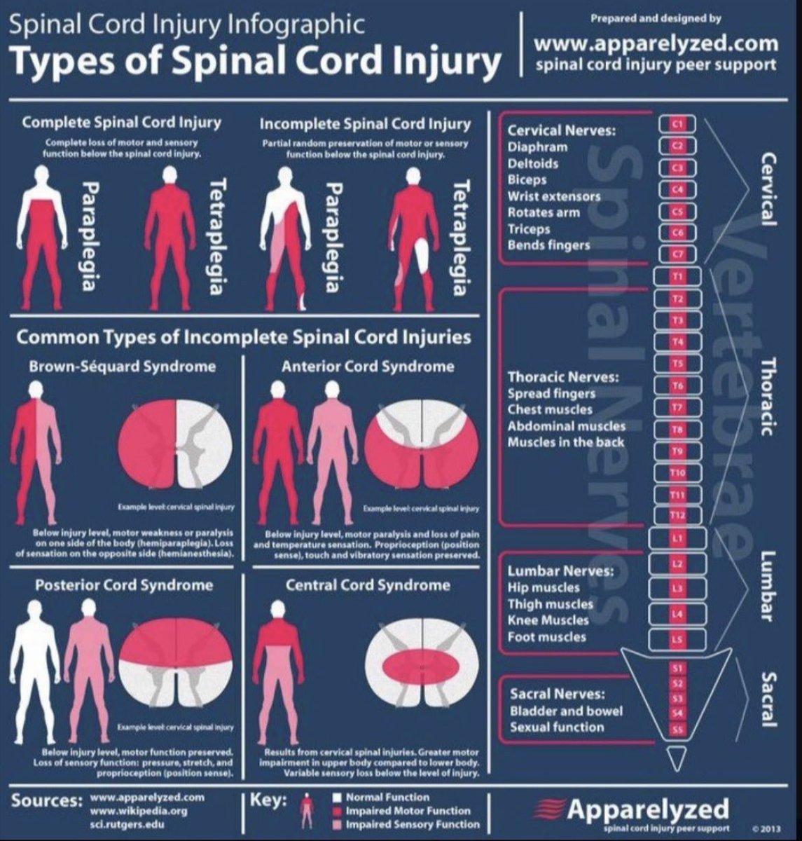 Types of spinal cord injury.

Source: Apparelyzed

#neuroscience #Neurology #neurotwitter #Neurosurgery 
#FOAMed #FOAMcc #MedEd #medicaleducation #MedicalStudents #medicalpractice #emergency #medicine #RESIDENT 
#TwitterRx #MedTwitter