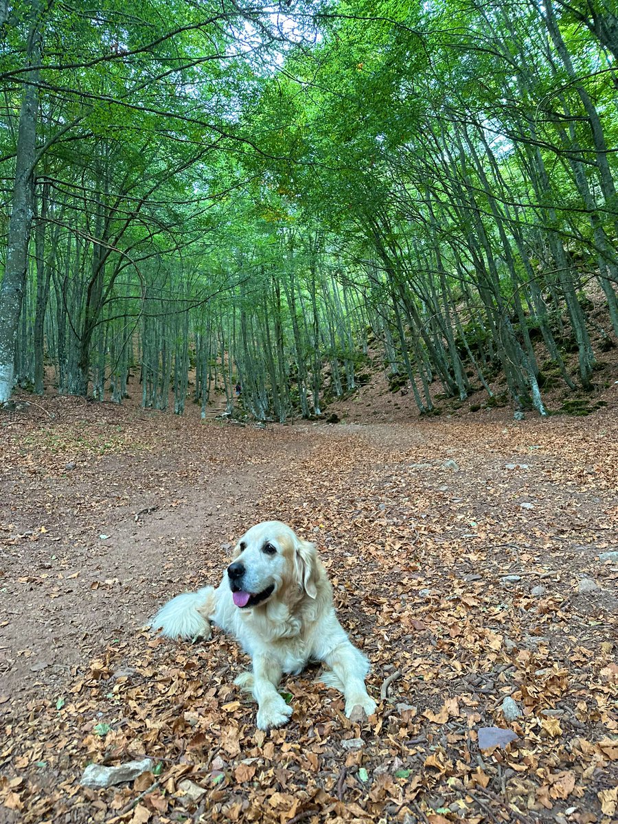 Otoño lento 🍂🧡#domingosdemontaña #desconectarparaconectar