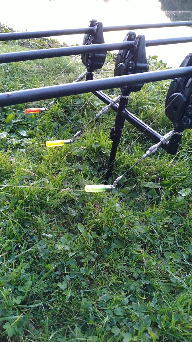 Old Skool colours
Come on autumn carp