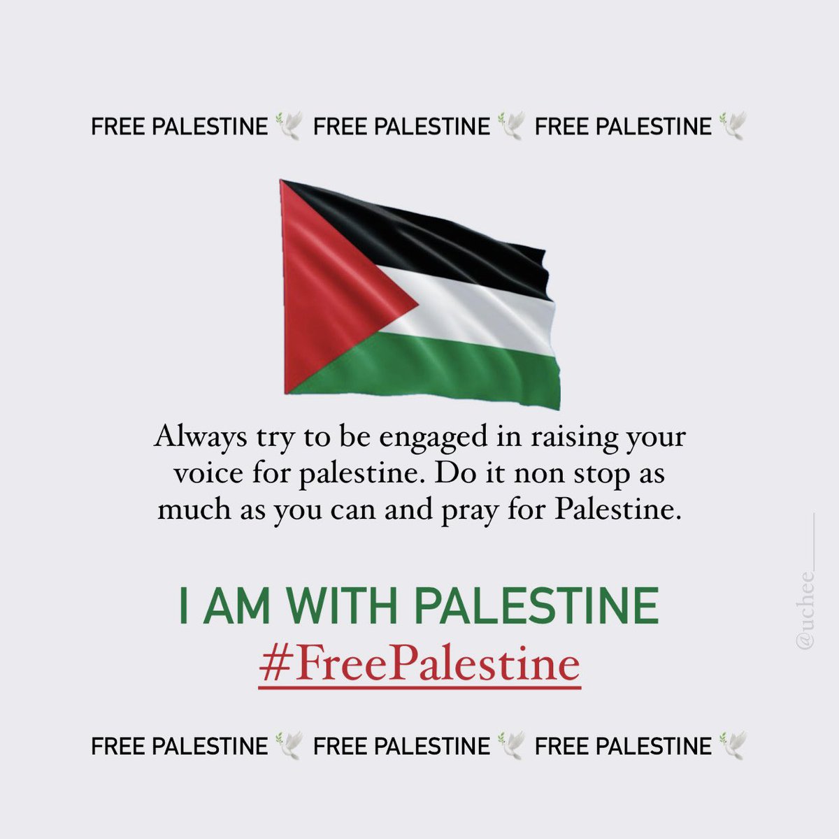 H_Xente10's tweet photo. Never stop raising your voice.
keep sharing,
Keep donating,
Keep praying.

#FreePalestine #FreeGaza 🇵🇸🕊️ https://t.co/2GqPja4nr2
