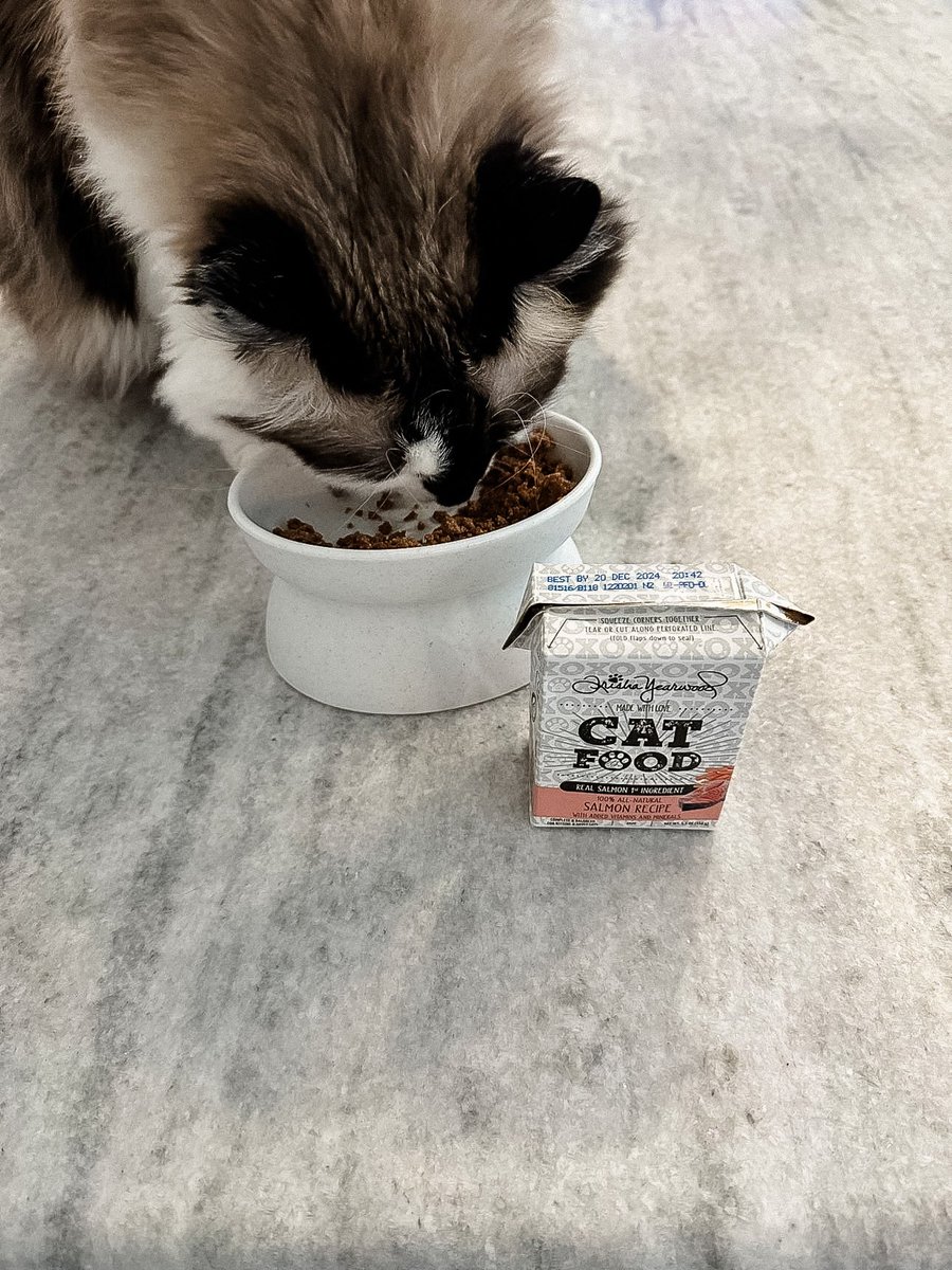 typetcollection's tweet image. No artificial ingredients, just pure love for our feline friends! 🐈⬛🌱🥩