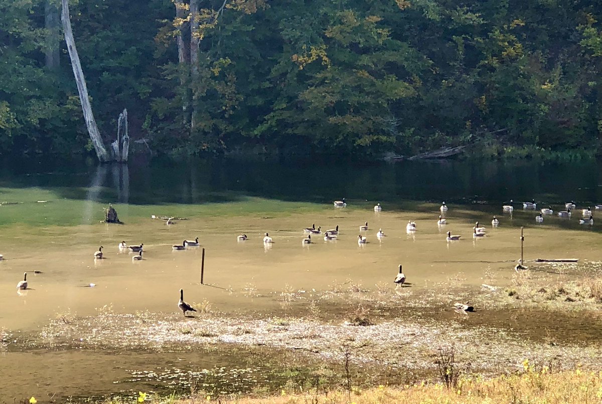 Curt McCormick tweet media