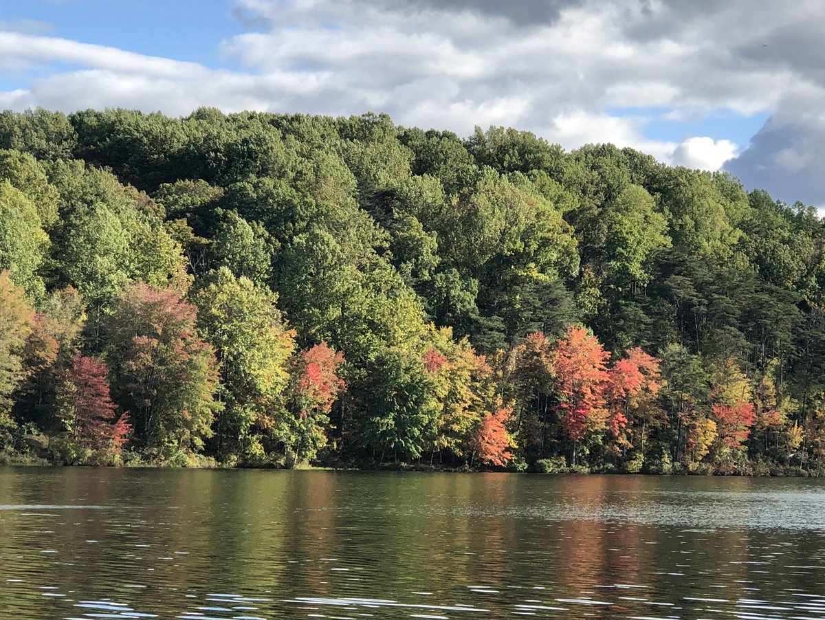 Curt McCormick tweet media