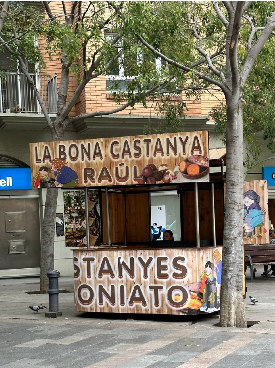 Roser Calafell tweet media