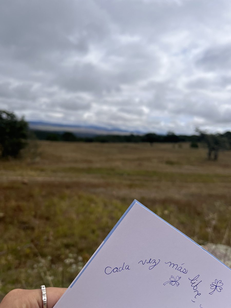 paula_zmena's tweet photo. Este fin Fui a constelar con caballos 🐴⚡️🤍🍀no se los puedo explicar, lo tienen que vivir 🍀

Cada vez más libre ❤️‍🔥🍄 https://t.co/K5KfPMYDQj