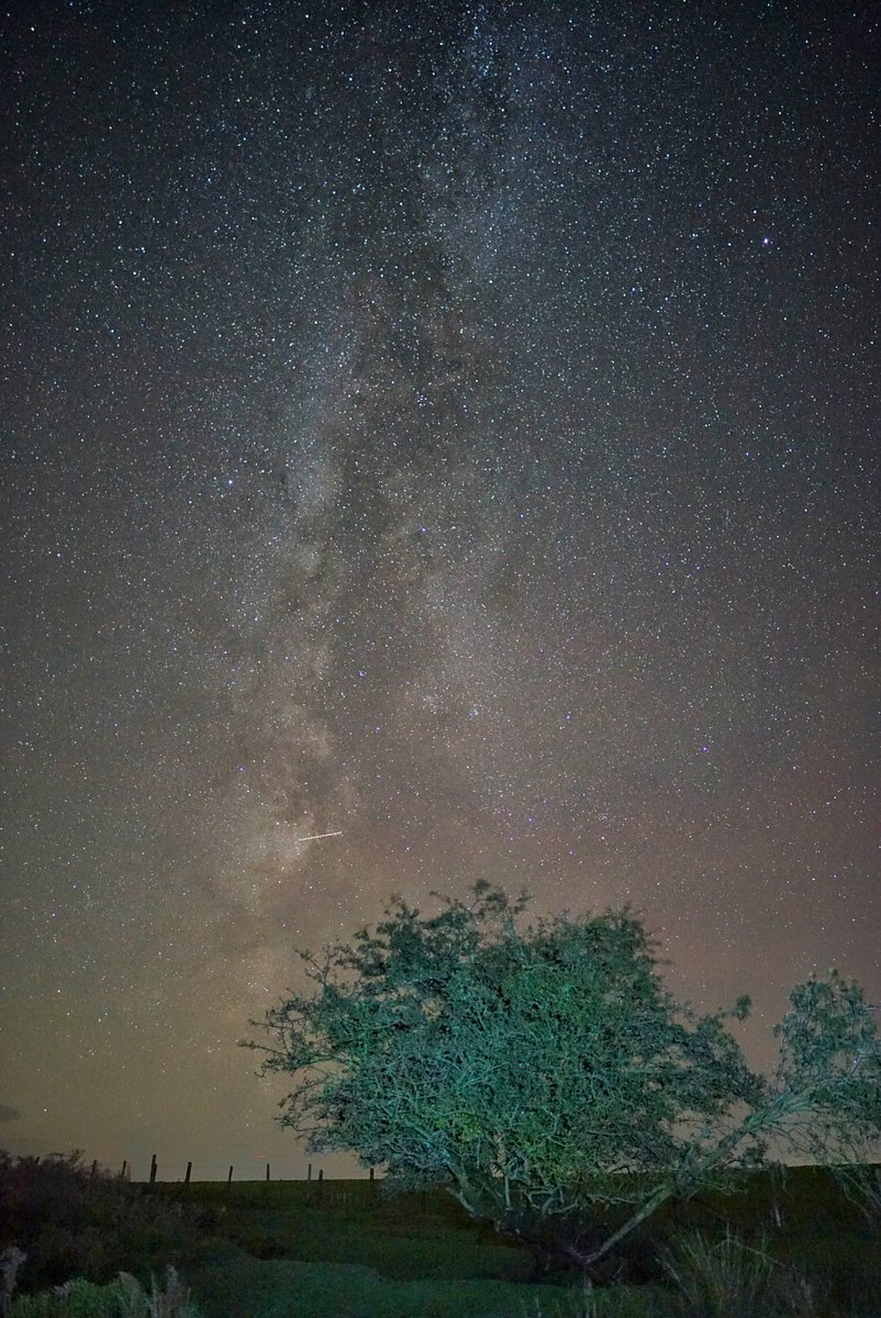 Last one of the weekend, after some exceptional conditions on <a href="/nationaltrust/">National Trust</a>’s #LongMynd. #MilkyWay #NewMoon #ChurchStretton #Shropshire <a href="/ThePhotoHour/">#ThePhotoHour</a> <a href="/StormHour/">#StormHour</a> <a href="/shropastrosoc/">Shropshire Astronomical Society</a> <a href="/TheWildImages/">The Wild Images</a> <a href="/thelongmynd/">thelongmynd</a> <a href="/BBCShropshire/">BBC Shropshire</a>