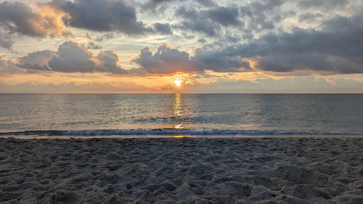 Sdwerd's tweet photo. @GooglePixel_US Made some serious use of magic eraser on my Pixel 8 Pro to fix this Miami sunrise pic from my Pixel 6 Pro I took the week before the new phones released. I think it turned out pretty good. https://t.co/oDHt78nDQy