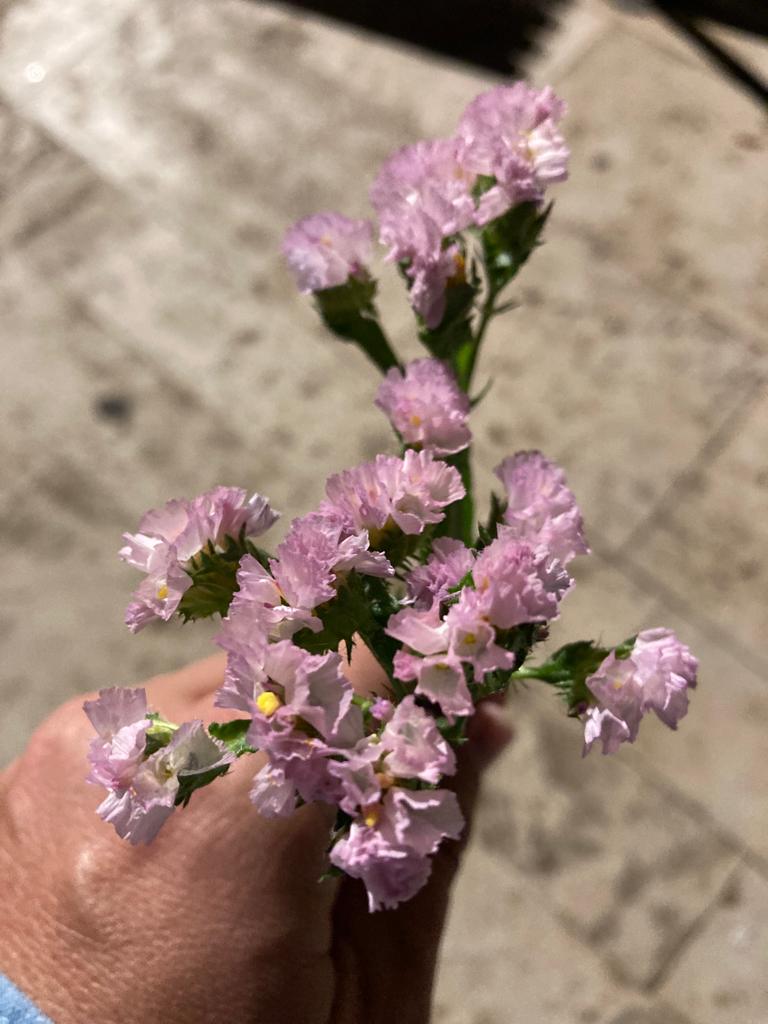 15 de octubre. Día del duelo perinatal
#NacisteYTeRecuerdo