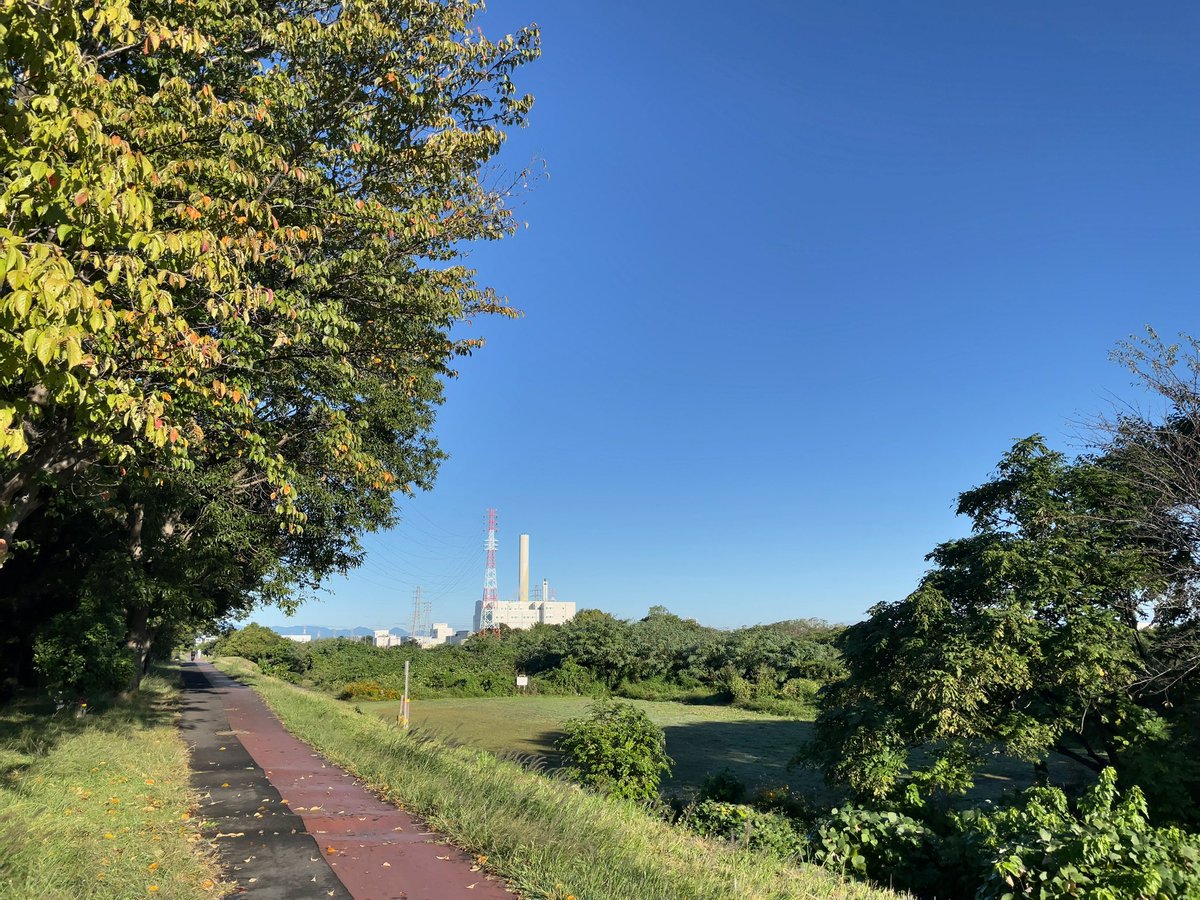 eXebLvEpLIqqlyj's tweet photo. 秋桜はピンクが好き🩷あさんぽ最高✨
#散歩 #日課 #秋桜 https://t.co/ZZnD1Xik4s