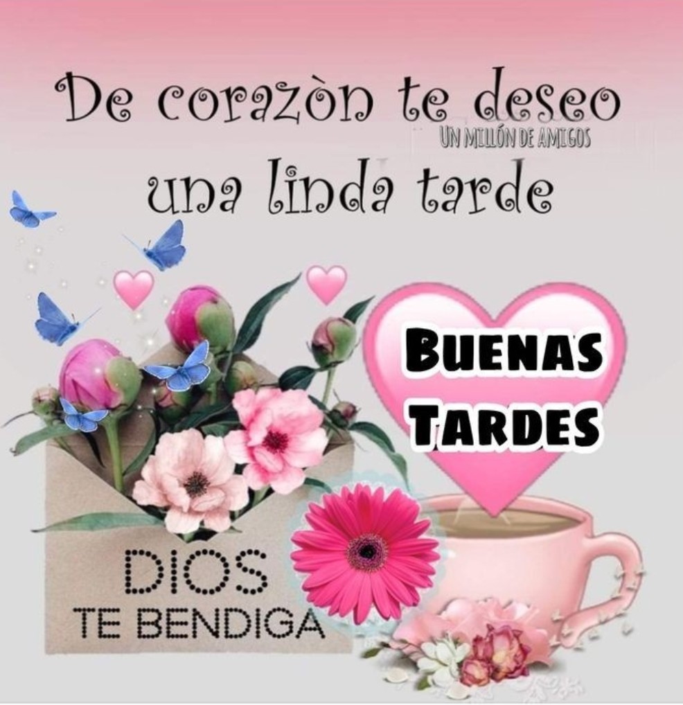 Excelente tarde.
