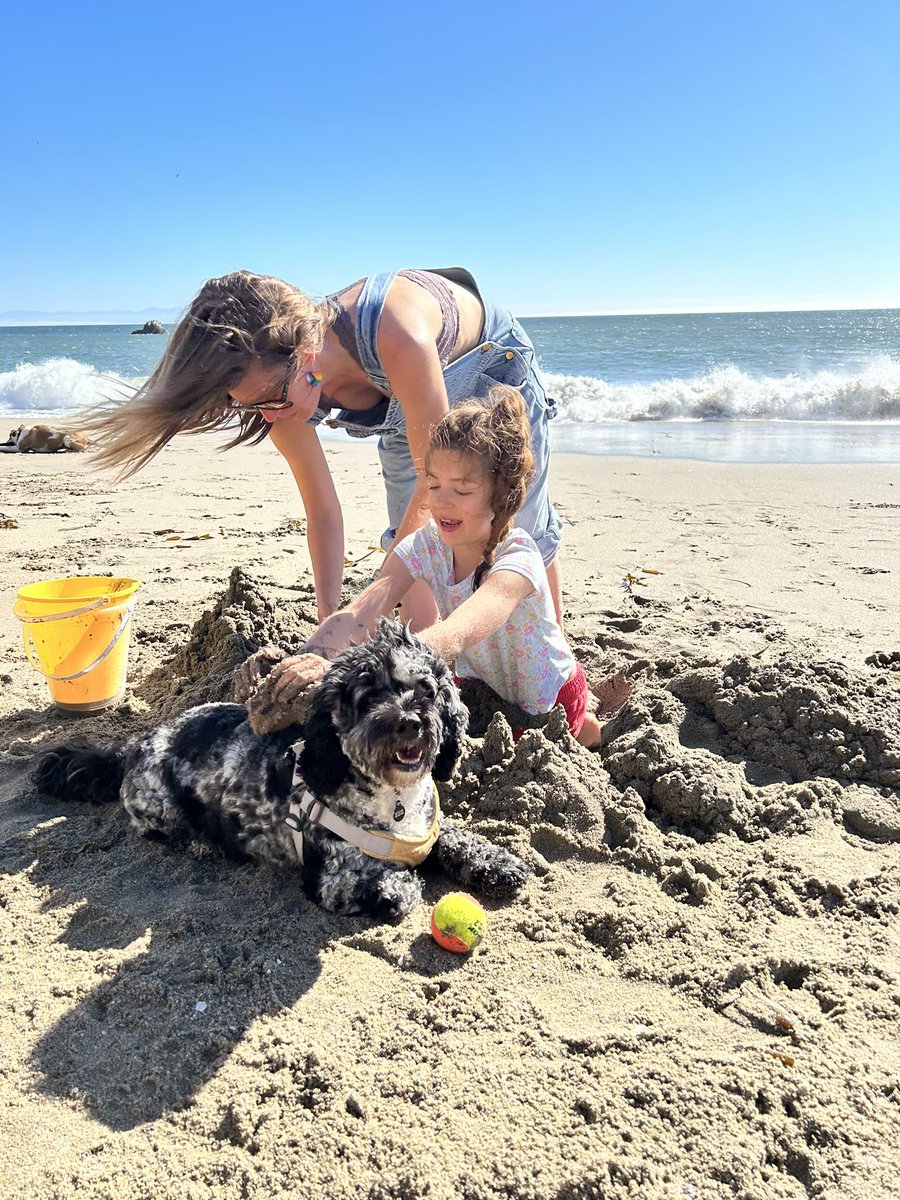 BethAnn🌈 🎶/ Mrs. Fuenmayor 👩‍🏫 tweet media