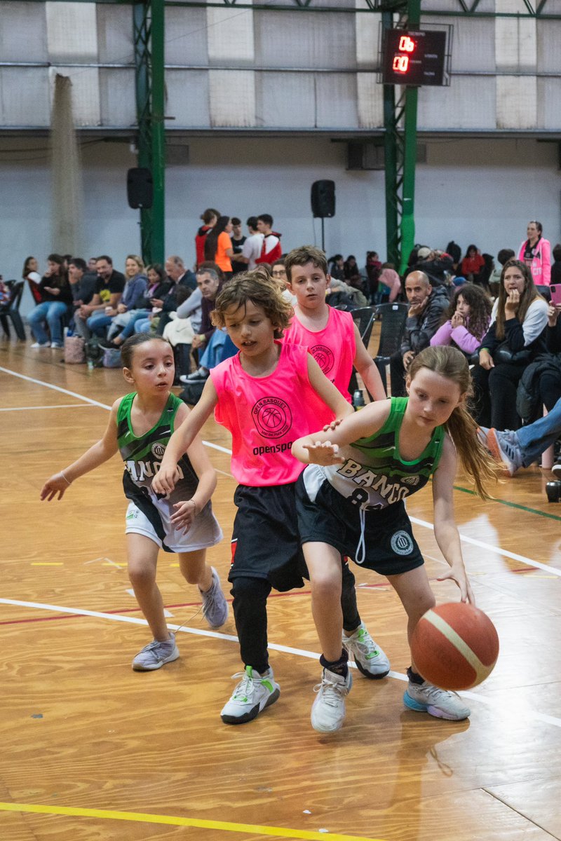 Open Basquet tweet media