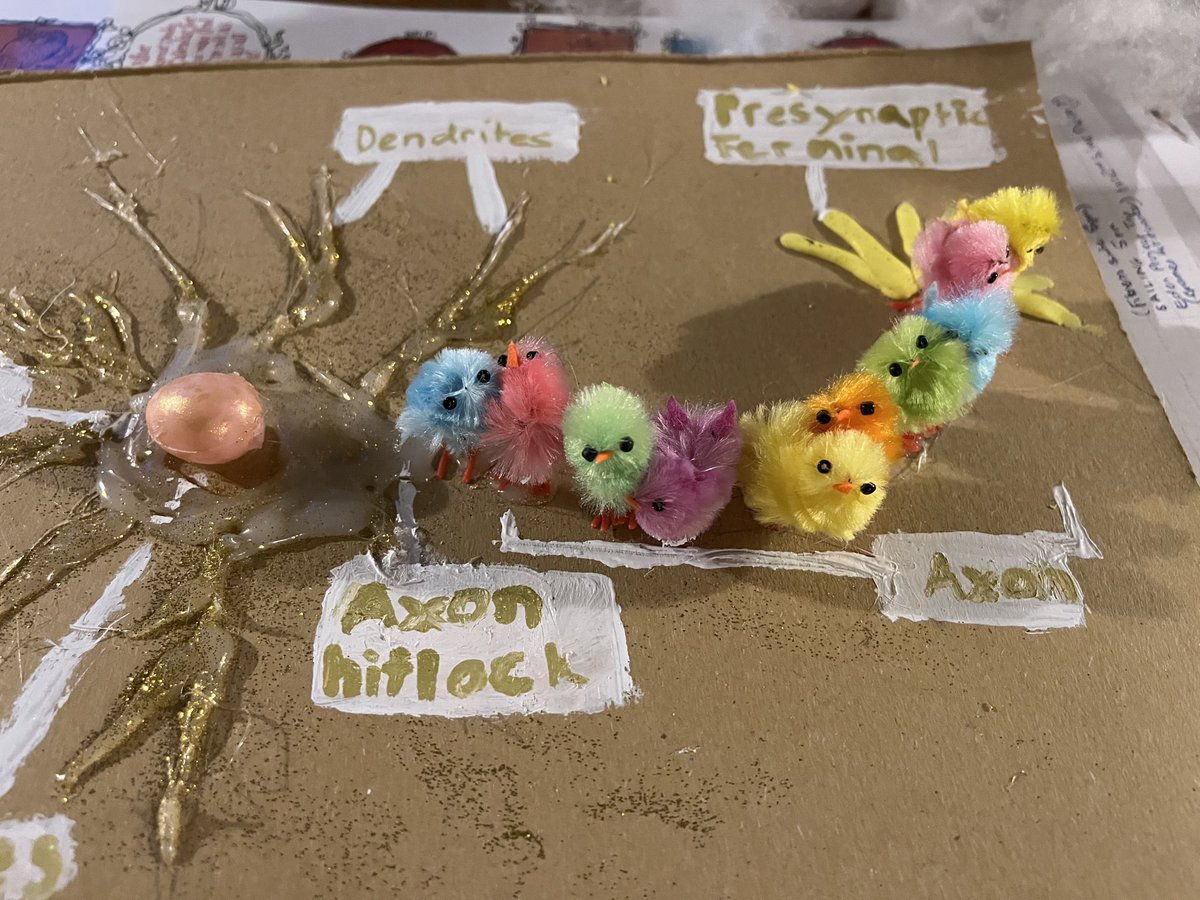 Turns out that action potentials are driven by Easter Chicks! No wonder we had such trouble in working out how pyrethroids work! #neuroscience #actionpotential #neuron