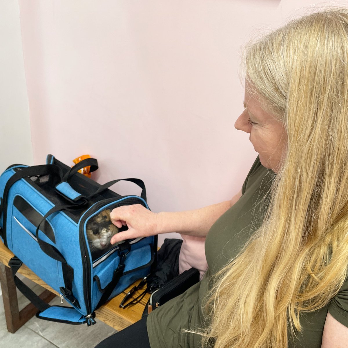 Spice went home!!! 🎉 #730. Her new mom visited a couple of days ago and came back to get her today! 🥹 Spice was shy at first, but felt comfortable with her off the bat! ♥️ Happy Adoption Day, Spice ✨ #TCMCalumni