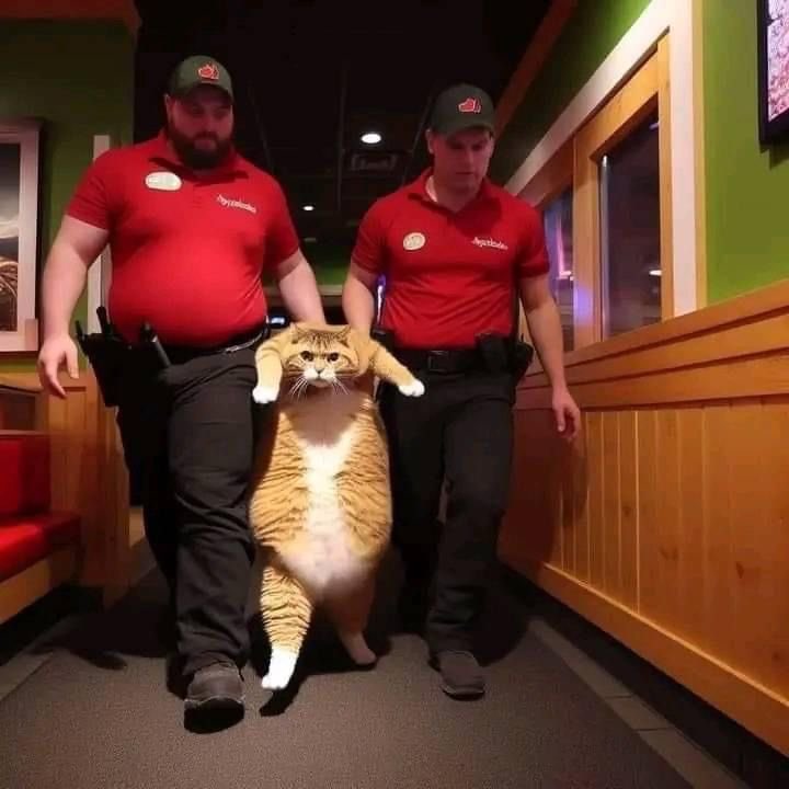TypicaICat's tweet photo. Me being escorted out of the all you can eat buffet https://t.co/SxW8Cesgoz