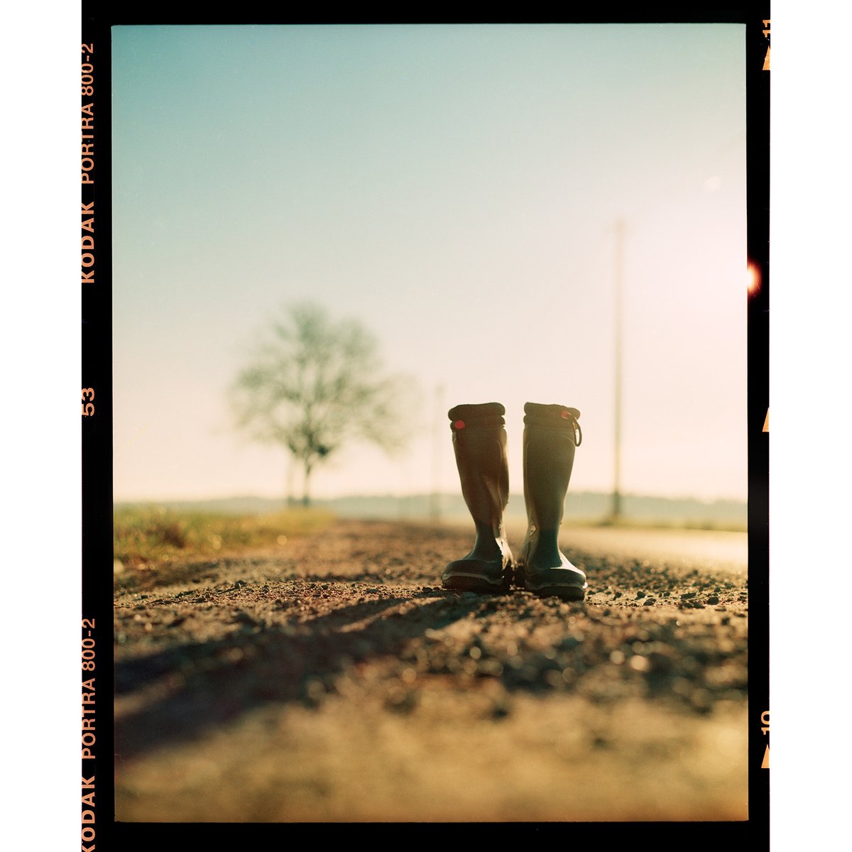 KodakProFilmBiz's tweet photo. Michael
https://t.co/qQ6JwA5V3U
🎞️ #portra400, #portra800, #gold200 & #trix400
"After so many years, my photography is still evolving. But one thing it will always be. Poetry." - Michael
#theanalogclub #shootwithfilm #ishootfilm #shootfilmmag #photofilmy #filmisnotdead https://t.co/BZnaCbcjUb