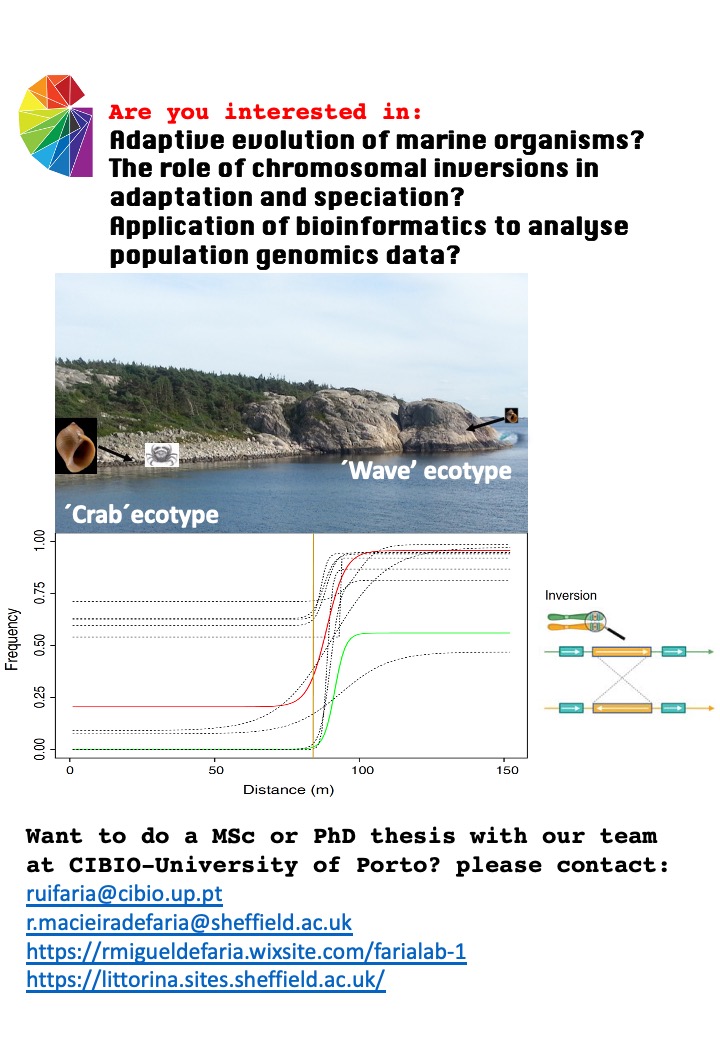 Rui Faria (@ruimmfaria) on Twitter photo 