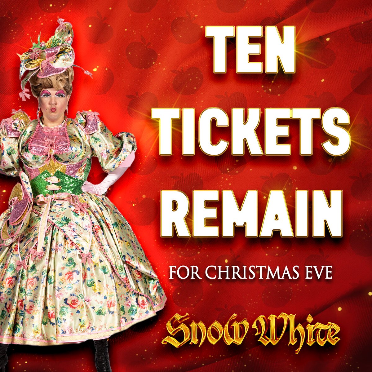 There are only 10 seats remaining for our Christmas Eve performance!

Don’t miss out, once they’re gone, they’re gone!

BOOK NOW:
malthousetheatre.co.uk/event/snow-whi…