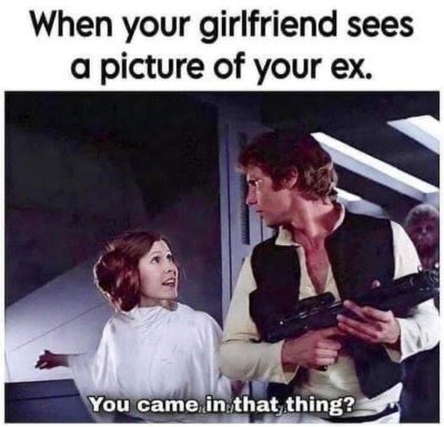 reesan's tweet image. 