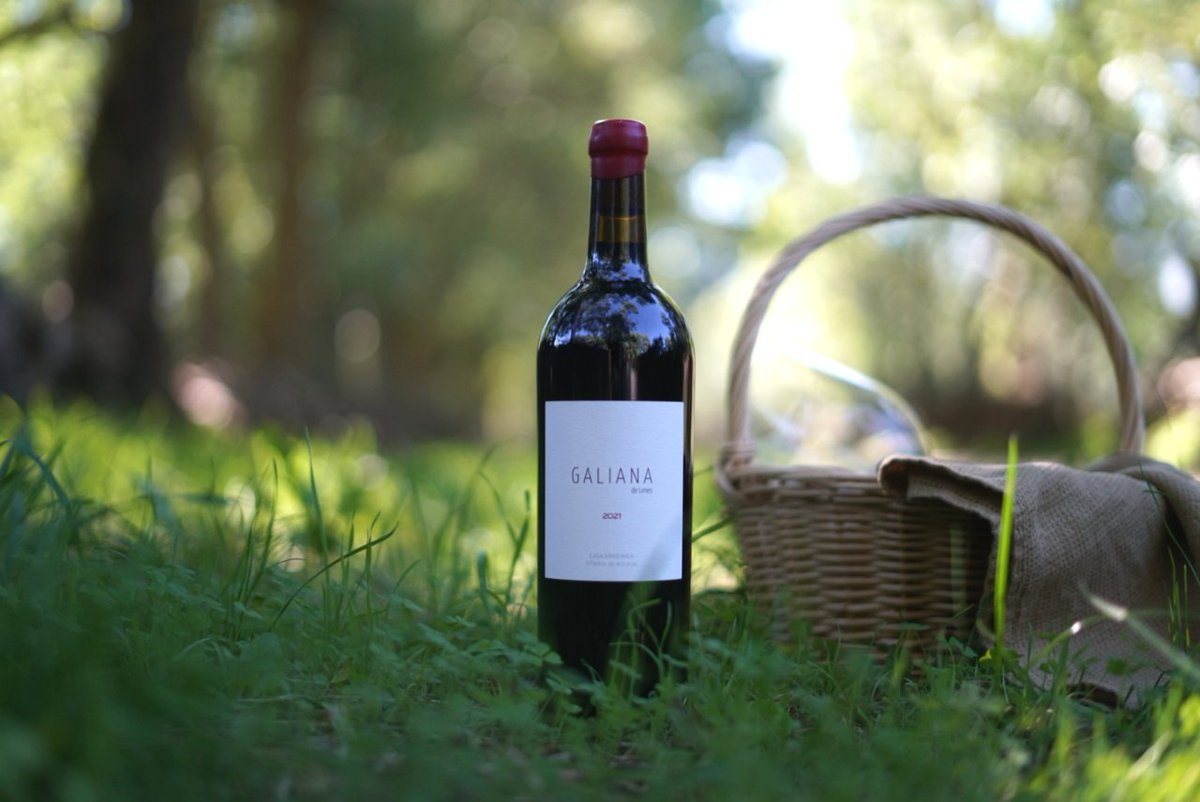 Galiana de Limes es el ensamblaje de diferentes parcelas en el paraje que da nombre al vino con la intención de expresar la singularidad de Asturias y de la comarca Fuentes del Narcea. 
🍇 wine-merchant.com/epages/WineMer…
#vino #winelover #wine #asturias #winemerchant #casamanunca