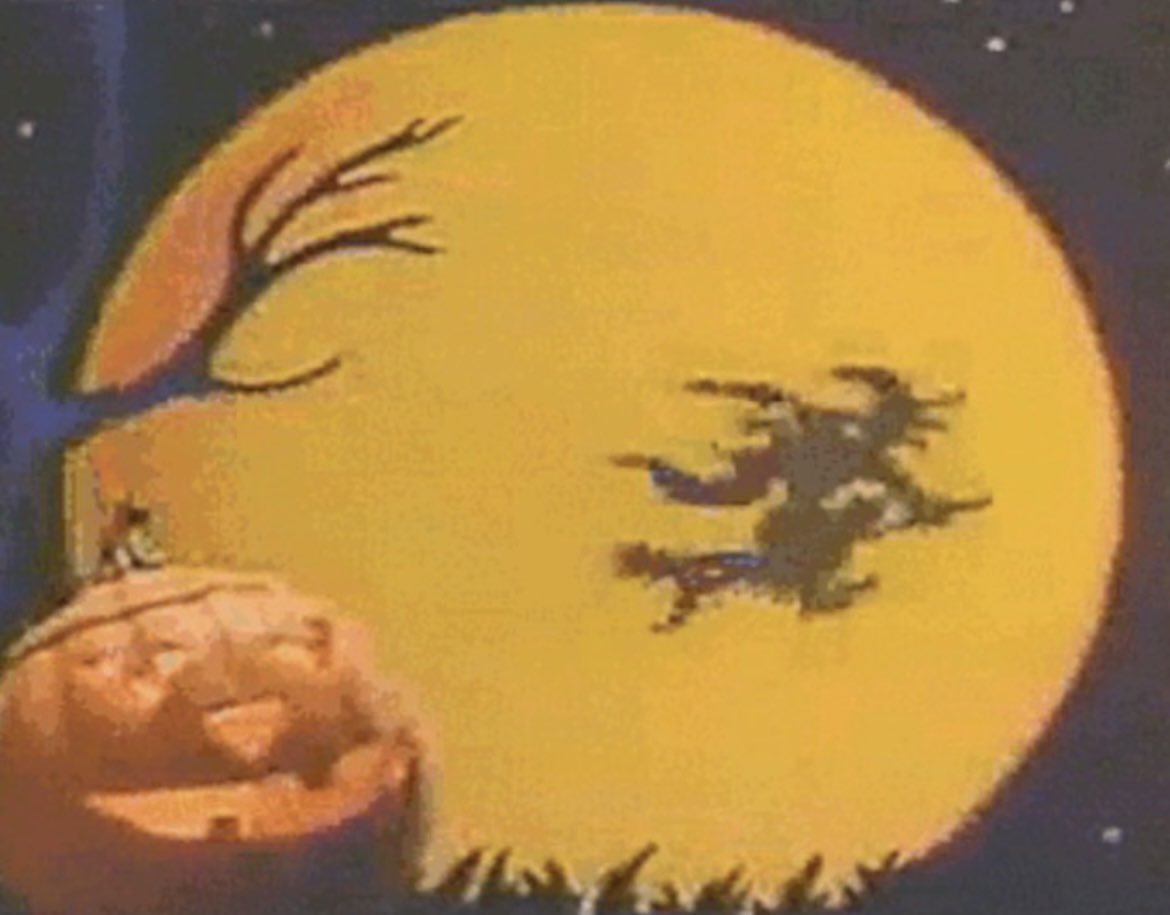 Wyatt Shears (@oldhauntedhorse) on Twitter photo 