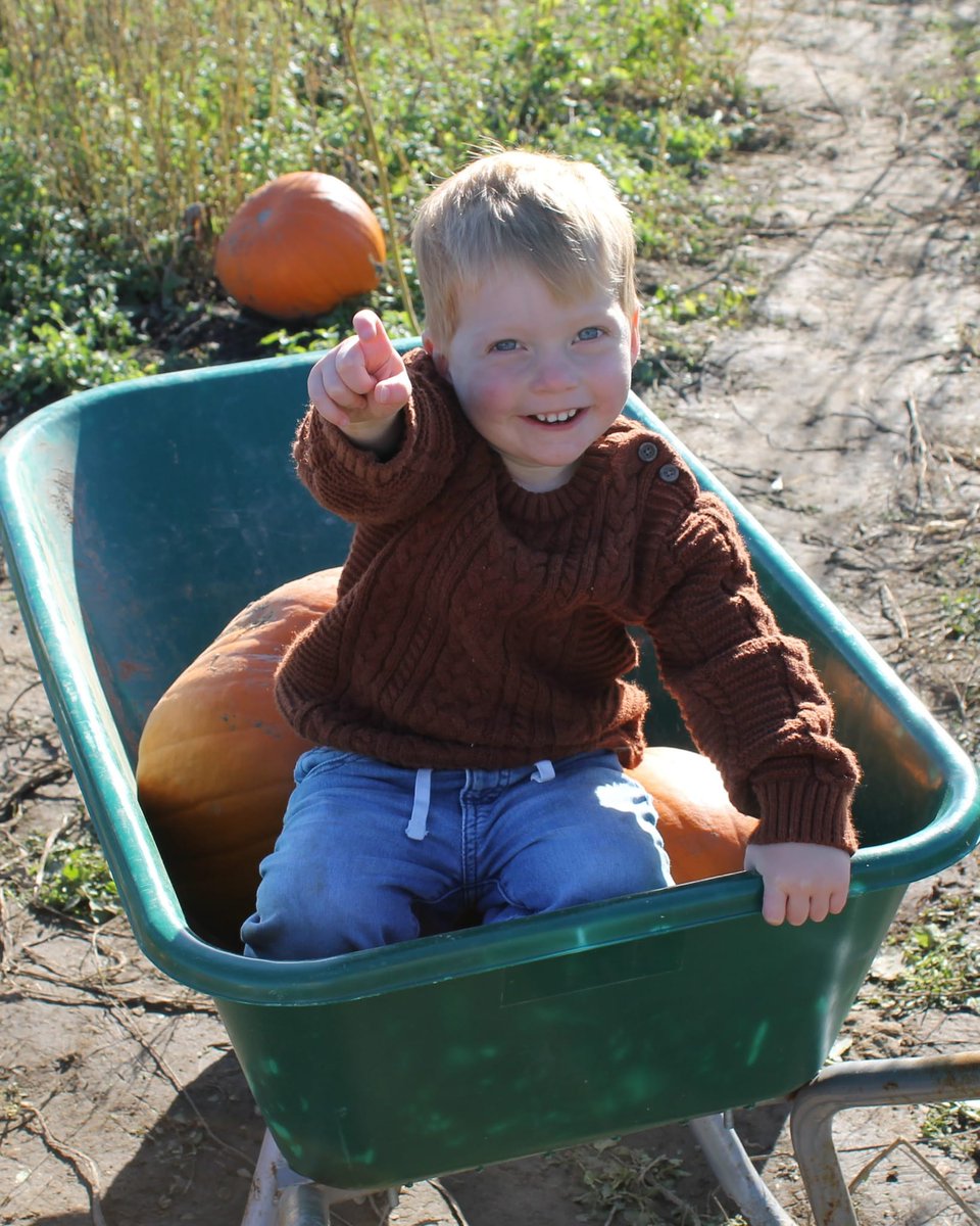 💙❤️ my boys are my life! They loved Pumpkin 🎃 picking