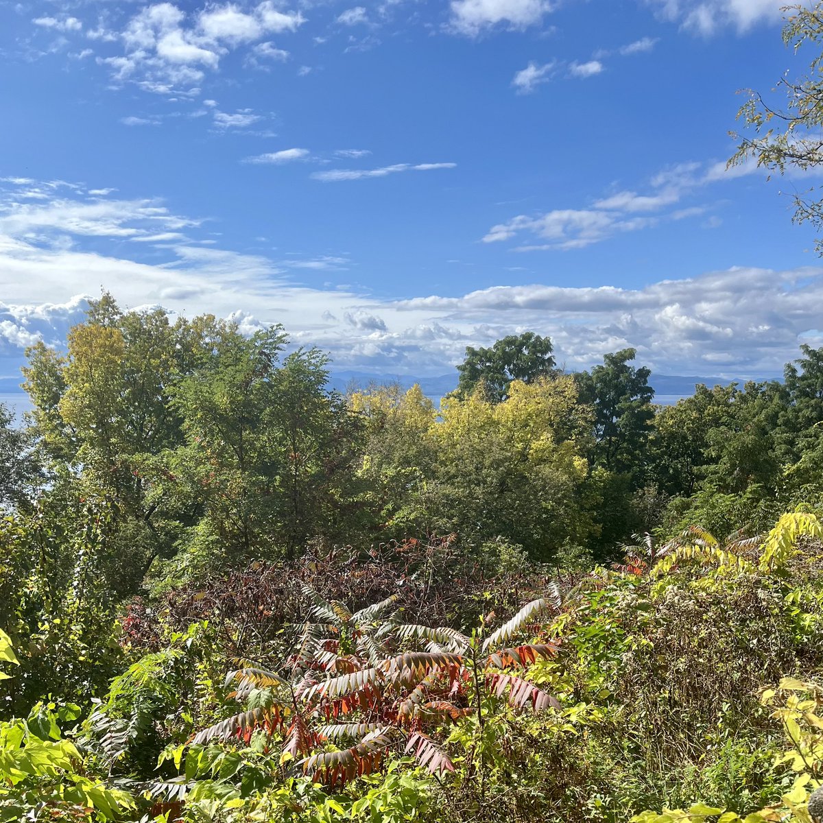 Recital-ing, lecture-ing, nature walk-ing 🎹 🎤 🍁 Thank you <a href="/uvmlaneseries/">UVM Lane Series</a>