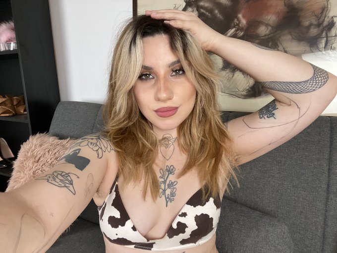 the last stream before 2 days off now! https://t.co/dkE8CyfzUO https://t.co/OTvX1fjVXO<a href="/tag/winnigwednsday"class="tags"><span>#winnigwednsday</span></a>