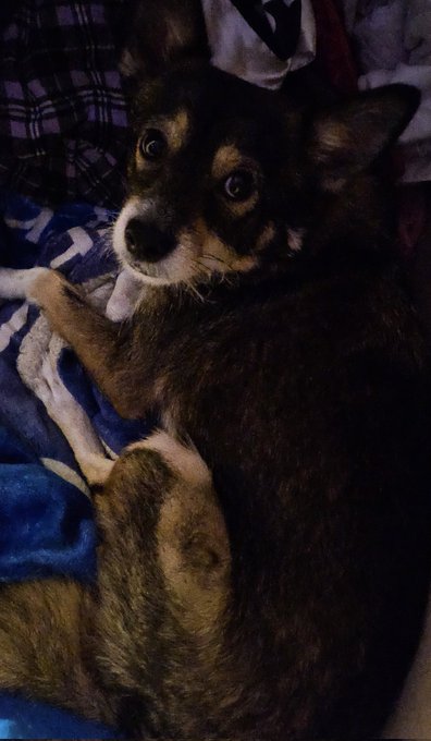 2h que j'attends mon uber eats 💀 jvais manger Naru, faites vos adieux https://t.co/WaNYMAPHES<a href="/tag/femmes"class="tags"><span>#femmes</span></a><a href="/tag/diable"class="tags"><span>#diable</span></a>