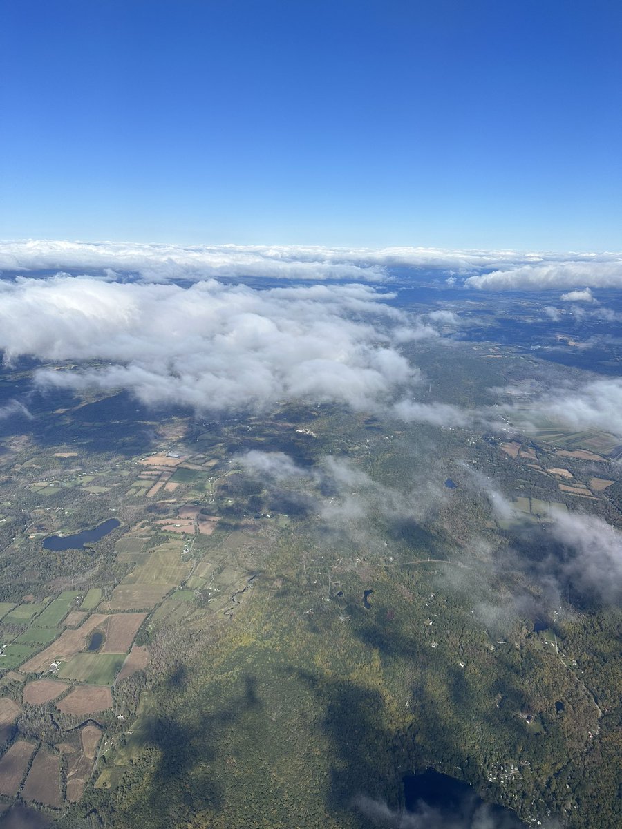 Monica Kumar tweet media