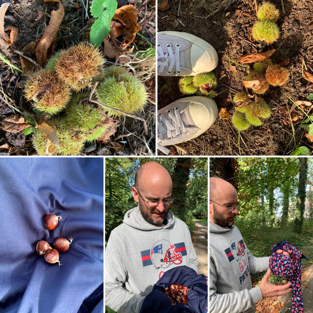 AdyDug's tweet photo. La semaine dernière, au cours d’une #baladesympa, nous avons ramassé + de 5kgs de châtaignes! Nous en avons fait de la crème mais aussi de la liqueur! #Deogratias pour ces #merveilles de la #nature! #autumm #AutumnVariations #biocestbon #madein95 #faitmaison #homemade #automne https://t.co/fqVLBTnWOF