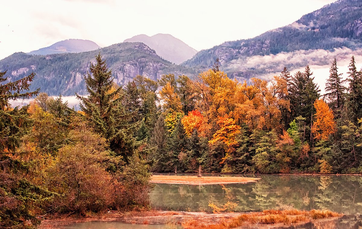 Hi Gang!  Time to share your early #Autumn #scenic captures. Have a peaceful Sunday! #photography #landscapes #SquamishBC #Canada