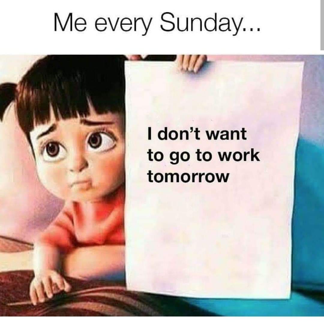 shellybobd22's tweet image. 100% me. #Sunday #smonday