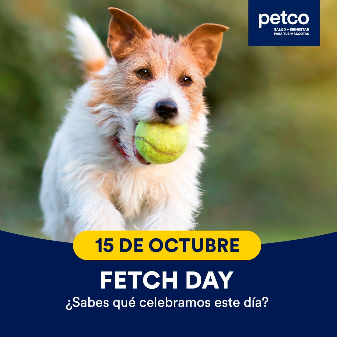 PetcoMexico's tweet image. Hoy es el #FetchDay, y te invitamos a celebrarlo con tu pequeño en compañía de los mejores juguetes de ChuckIt! 🥎 🐕 Disfruta este día y sal a jugar con tu peludito. 💕🐶