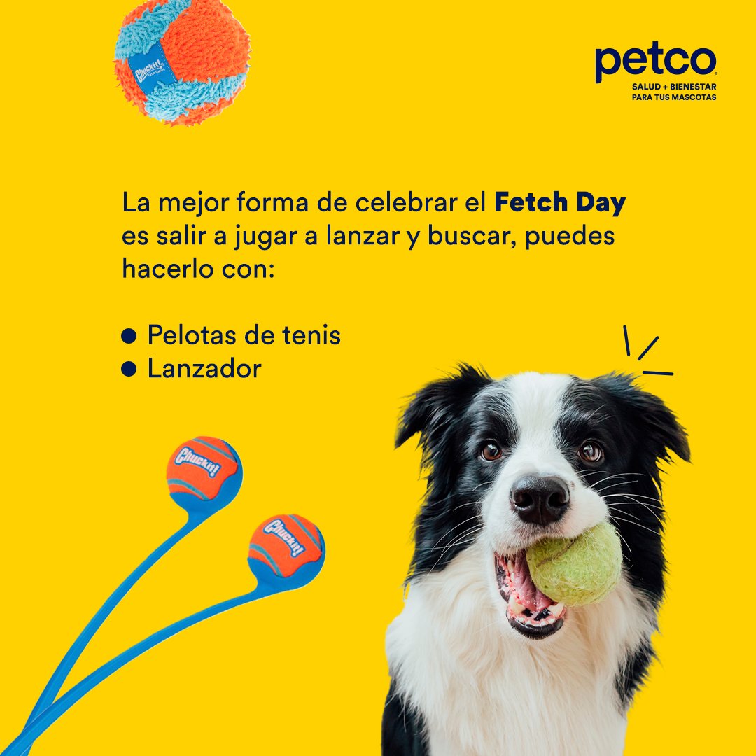 PetcoMexico's tweet image. Hoy es el #FetchDay, y te invitamos a celebrarlo con tu pequeño en compañía de los mejores juguetes de ChuckIt! 🥎 🐕 Disfruta este día y sal a jugar con tu peludito. 💕🐶
