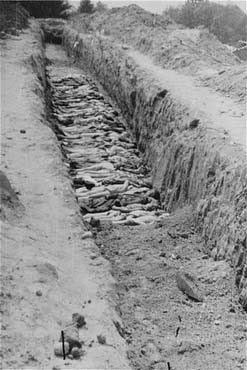 dancohen3000's tweet photo. May, 1945: Mass graves of Jews murdered by Nazis. 

October, 2023: Mass graves of Palestinians murdered by Zionists. https://t.co/imoVk6ml20