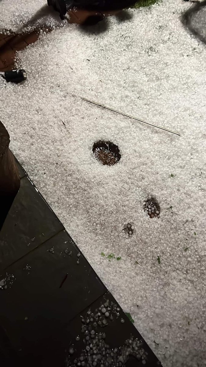 ReenvalSA tweet media