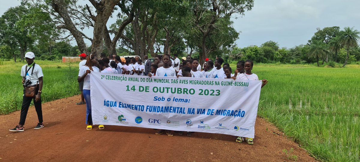 MeioIe's tweet image. @zonashumidasgb II Celebração anual do Dia Mundial das Aves Migradoras 2023.
#ODZH #IBAP #Palmeirinha #GPC #WIA #BioGuine #AAAC