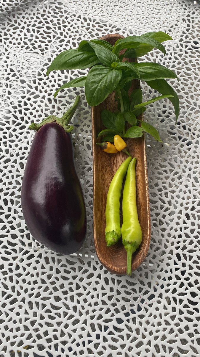 Today’s Harvest from my Yarden! 💝

#FromNothingToSomething
#Yarden #FarmToTable
#UrbanHomestead #EatwhatYouGrow
#GrowYourGroceries
#UrbanFarming 
#urbanharvest 
#Farm 
#BlackFarmers
#Eggplant
#Basil
#Peppers