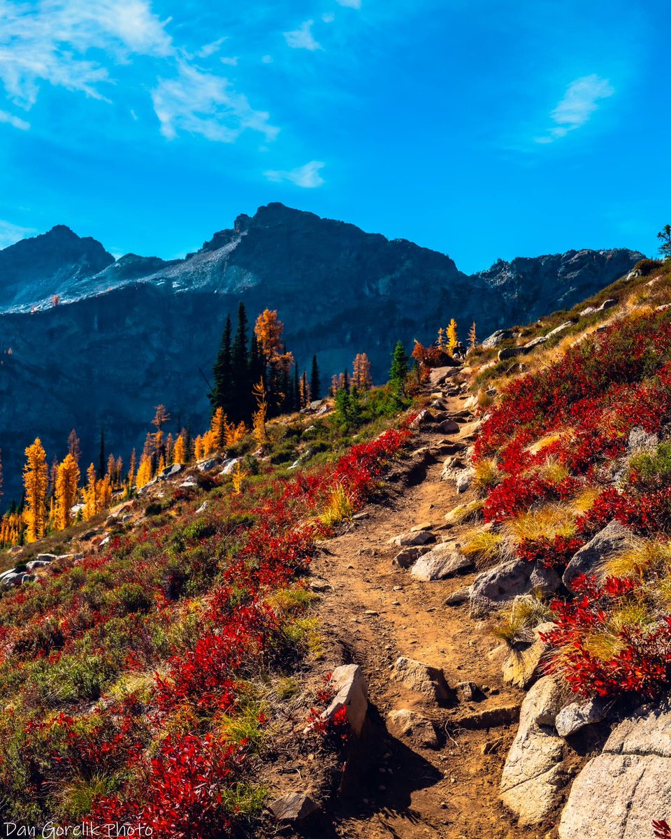 Rosa52661's tweet photo. Some photos from the North Cascades. The fall colors here are truly an incredible experience. #MaplePass https://t.co/l3nW8yMFZU