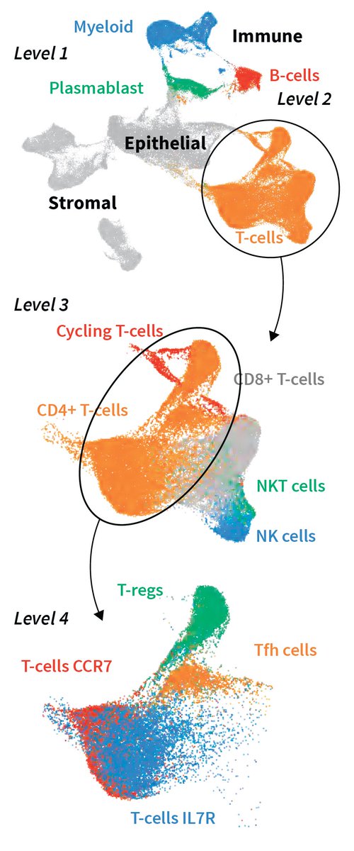 Artem Lomakin tweet media