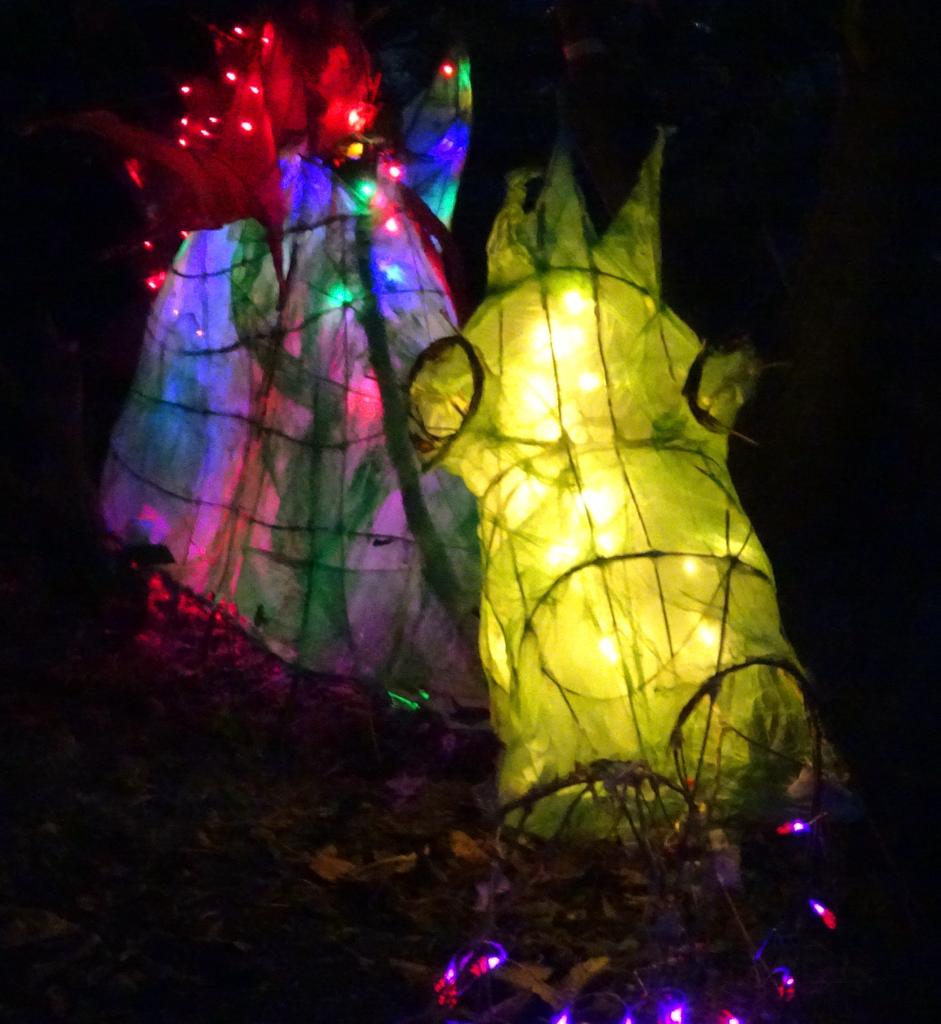 Stunning images from last night's procession - a wonderful evening!

Thanks to all for attending and Penny Philcox too for the photos