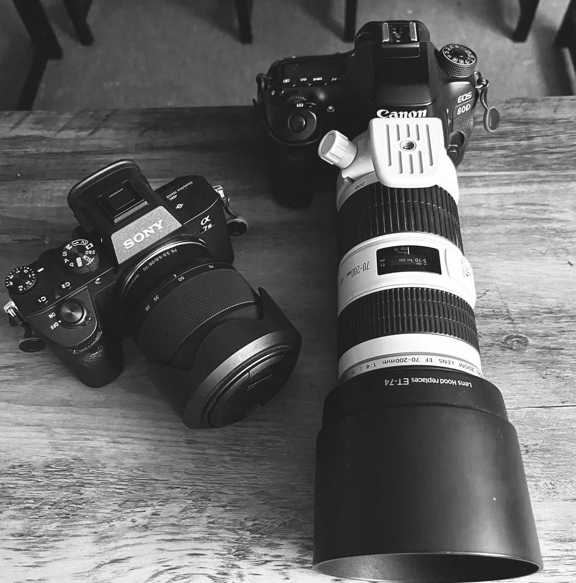 #sonya7iii #canon80d #camera #sony #canon #blackandwhite #blackandwhitephotography #blackandwhitephoto #bnw #bnwphotography #bnwlovers #bnw_capture #bw #bw_photooftheday #photooftheday #photograghy #equipment #photographer #followforfollow