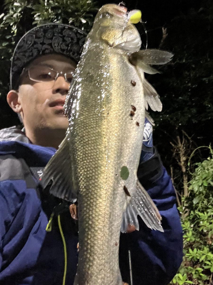 PACORIN85's tweet photo. ウェーディングは初場所。
いつもの倍以上にエイの恐怖感じた🫨💦
ウェーディングステッキでツンツン🦯
移動だけで疲れた😓
明暗ウェーディングもジグザグベイトで小さいのばかり…
気を取り直して陸っぱり🎣
サイズ上がんねー😩
ダブルはきつい。
#シーバス #東京湾奥 #湾奥河川 https://t.co/TnJhLgnhrL